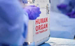 What Could Disqualify Someone From Donating a Kidney?